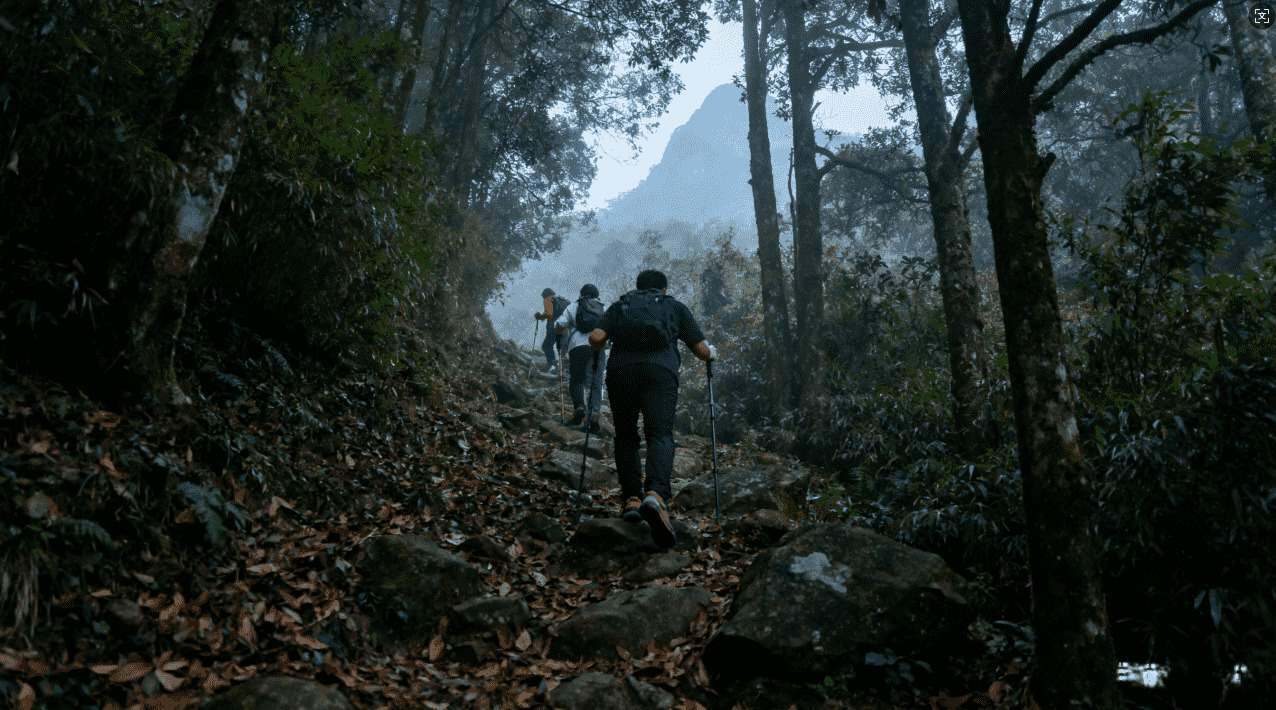 坚果加速器登录遇到问题怎么办